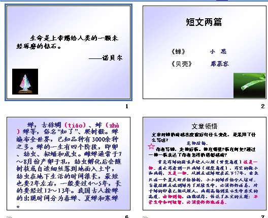 3 *短文两篇(蝉、贝壳)课件下载-初中语文